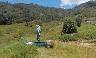 Venta finca Agropecuaria Concepción Antioquia