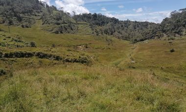 Venta finca Agropecuaria Concepción Antioquia