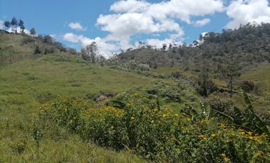 Venta finca Agropecuaria Concepción Antioquia
