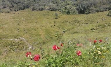 Venta finca Agropecuaria Concepción Antioquia