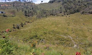 Venta finca Agropecuaria Concepción Antioquia