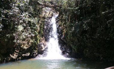 Venta finca Agropecuaria Concepción Antioquia
