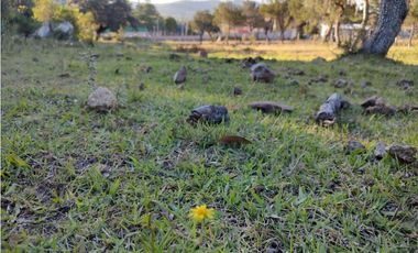 TERRENO EN HUASCA DE OCAMPO HIDALGO