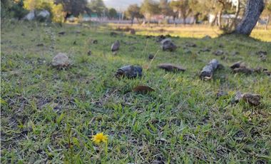TERRENO EN HUASCA DE OCAMPO HIDALGO