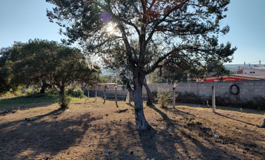 TERRENO EN HUASCA DE OCAMPO HIDALGO