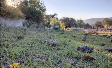 TERRENO EN HUASCA DE OCAMPO HIDALGO