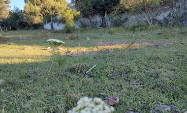 TERRENO EN HUASCA DE OCAMPO HIDALGO
