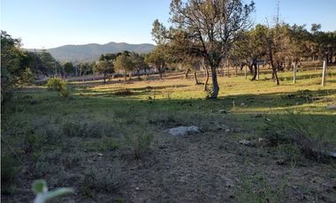 TERRENO EN HUASCA DE OCAMPO HIDALGO