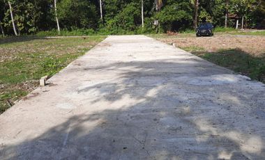 Kavling Kost Sentolo