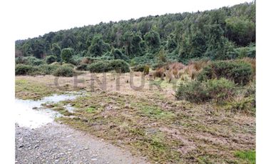Oportunidad Terreno Agricola en Potrerillos