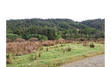 Oportunidad Terreno Agricola en Potrerillos