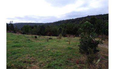 Oportunidad Terreno Agricola en Potrerillos