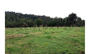 Oportunidad Terreno Agricola en Potrerillos