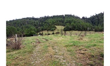 Oportunidad Terreno Agricola en Potrerillos