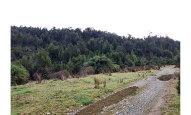 Oportunidad Terreno Agricola en Potrerillos