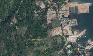 12 hectares of agricultural land in Bataan for sale