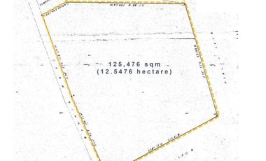12 hectares of agricultural land in Bataan for sale