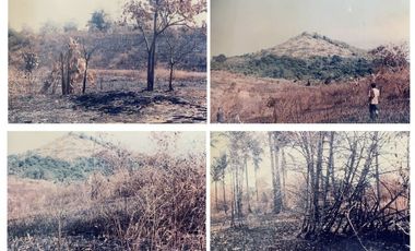 12 hectares of agricultural land in Bataan for sale