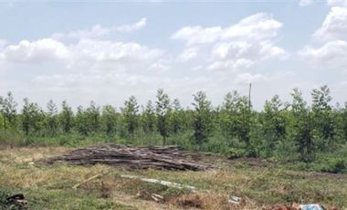 Agrícola en Venta en Las Mercedes