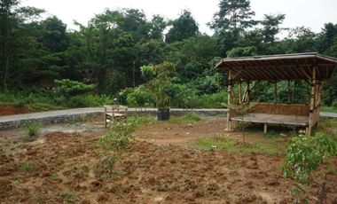 Tanah murah di tanjungsari Bogor