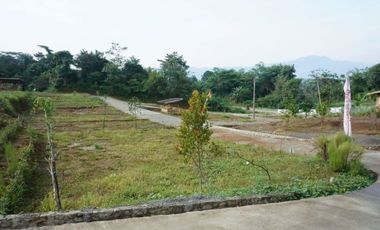 Tanah murah di tanjungsari Bogor