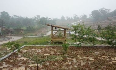 Tanah murah di tanjungsari Bogor