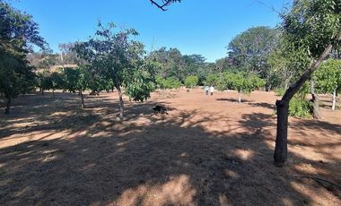 Parcela en Venta en Ruta F 50, 200 mtrs Ruta Quilpue - Lo Orosco