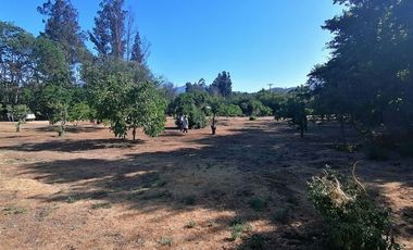 Parcela en Venta en Ruta F 50, 200 mtrs Ruta Quilpue - Lo Orosco