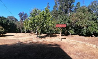 Parcela en Venta en Ruta F 50, 200 mtrs Ruta Quilpue - Lo Orosco
