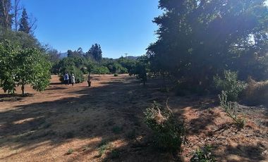 Parcela en Venta en Ruta F 50, 200 mtrs Ruta Quilpue - Lo Orosco