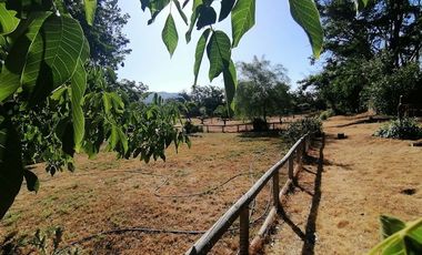 Parcela en Venta en Ruta F 50, 200 mtrs Ruta Quilpue - Lo Orosco