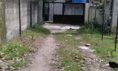 BEACHFRONT LOT FOR SALE IN ZAMBOANGUITA NEGROS ORIENTAL