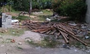 BEACHFRONT LOT FOR SALE IN ZAMBOANGUITA NEGROS ORIENTAL