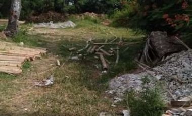 BEACHFRONT LOT FOR SALE IN ZAMBOANGUITA NEGROS ORIENTAL