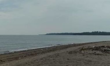 BEACHFRONT LOT FOR SALE IN ZAMBOANGUITA NEGROS ORIENTAL