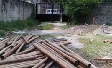 BEACHFRONT LOT FOR SALE IN ZAMBOANGUITA NEGROS ORIENTAL