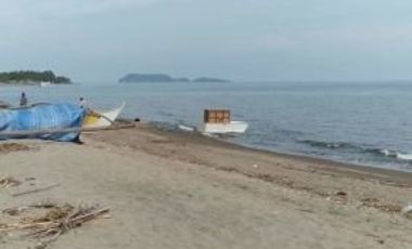 BEACHFRONT LOT FOR SALE IN ZAMBOANGUITA NEGROS ORIENTAL