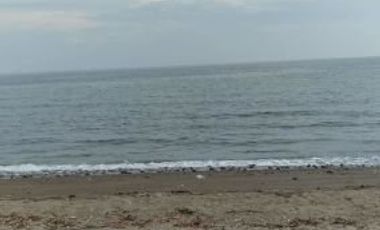 BEACHFRONT LOT FOR SALE IN ZAMBOANGUITA NEGROS ORIENTAL