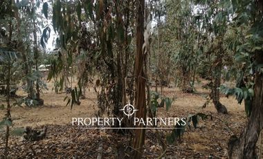 Quillaicillo, Hermoso Terreno rodeado de naturaleza, una gran oportunidad!!!