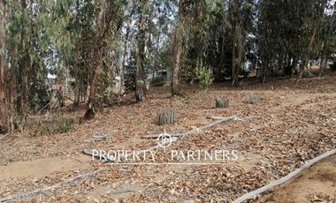 Quillaicillo, Hermoso Terreno rodeado de naturaleza, una gran oportunidad!!!