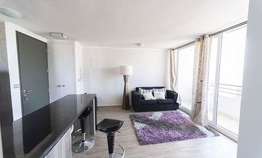 Departamento en Venta en Vicuña Maceckenna / Camino Agricola