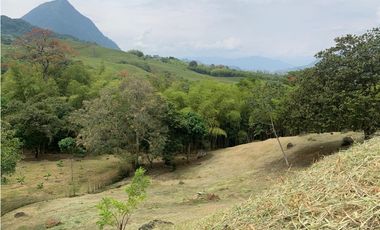 VENTA LOTE VENECIA, SUROESTE ANTIOQUEÑO