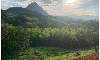 VENTA LOTE VENECIA, SUROESTE ANTIOQUEÑO