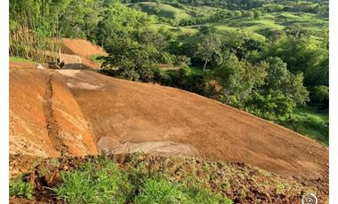 VENTA LOTE VENECIA, SUROESTE ANTIOQUEÑO