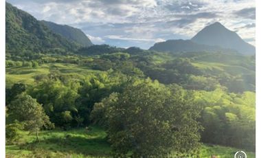 VENTA LOTE VENECIA, SUROESTE ANTIOQUEÑO