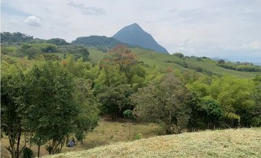 VENTA LOTE VENECIA, SUROESTE ANTIOQUEÑO