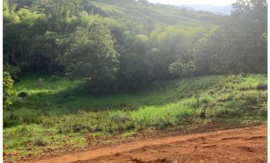 VENTA LOTE VENECIA, SUROESTE ANTIOQUEÑO