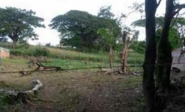 lote en venta en bocono. Cod V101619