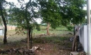 lote en venta en bocono. Cod V101619