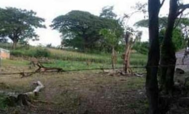 lote en venta en bocono. Cod V101619